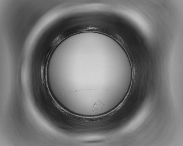 X0000115521439200911061014
