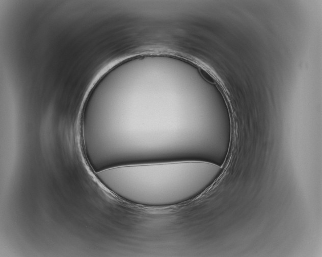 X0000115521440200911061014