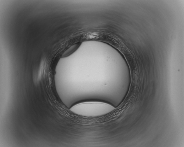 X0000115521442200911061013