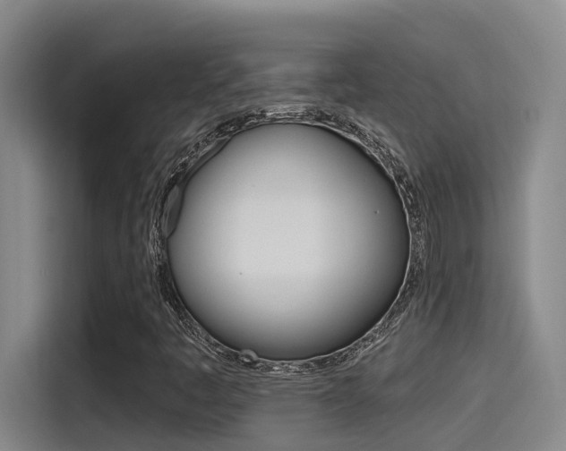 X0000115521445200911061013