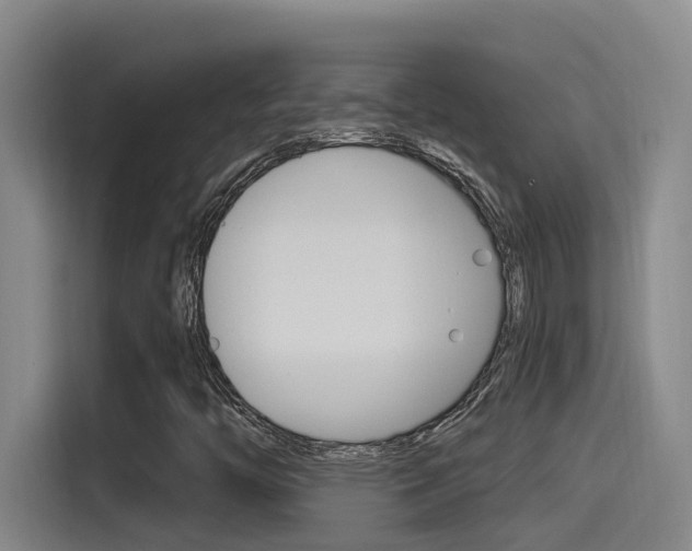 X0000115521446200911061013