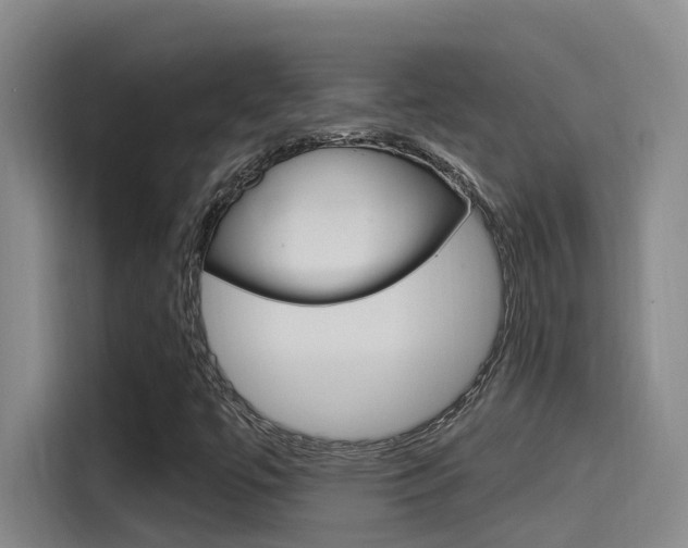 X0000115521447200911061013