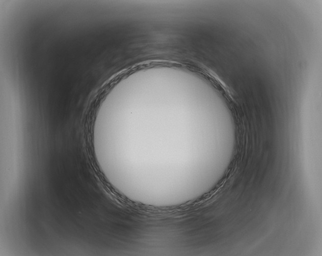 X0000115521448200911061013