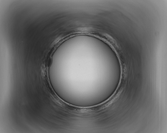 X0000115521449200911061013