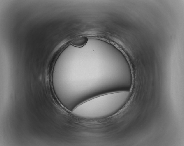 X0000115521450200911061013
