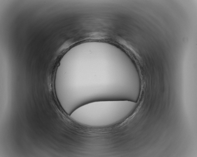 X0000115521451200911061013