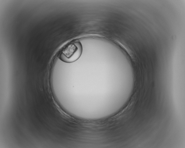 X0000115521452200911061013