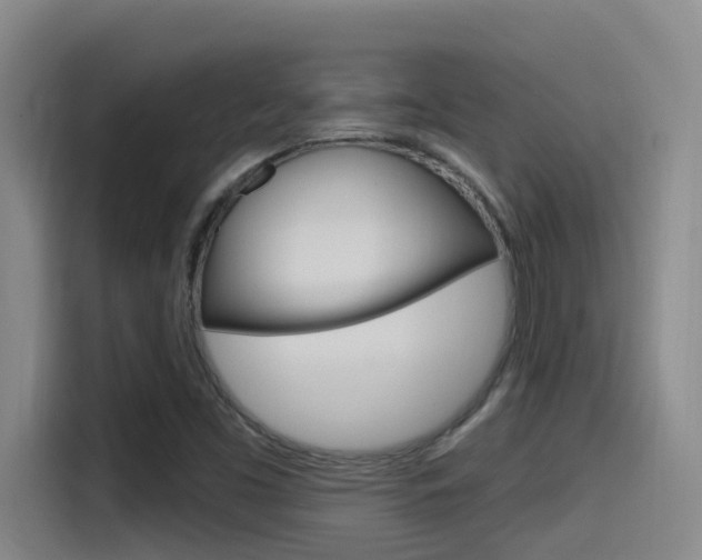 X0000115521453200911061013