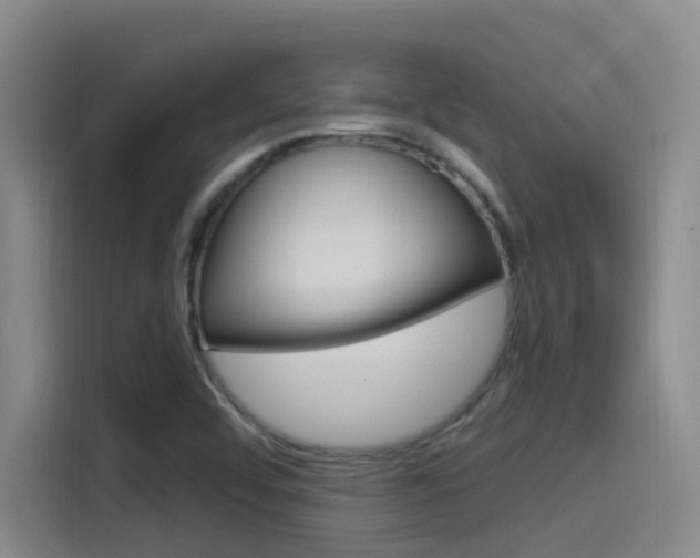 X0000115521456200911061013
