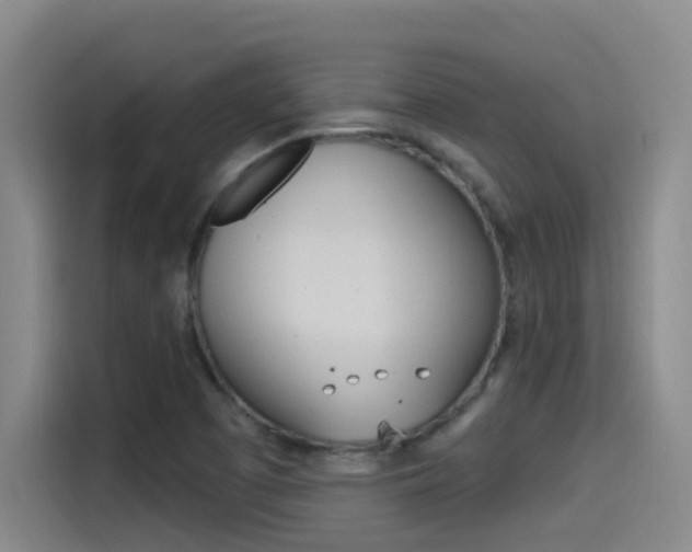 X0000115521457200911061013