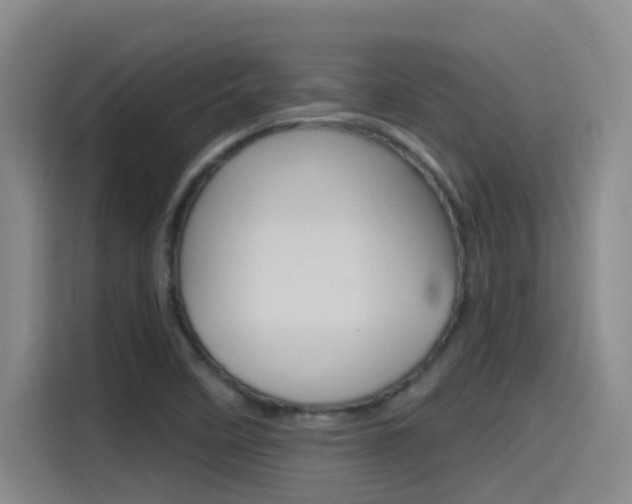 X0000115521458200911061013
