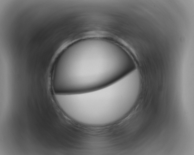 X0000115521459200911061013