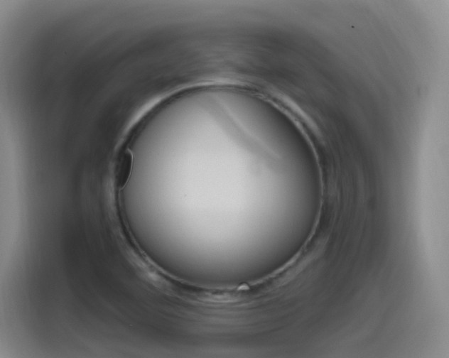 X0000115521460200911061013