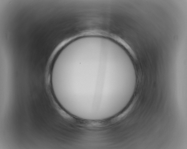 X0000115521462200911061013