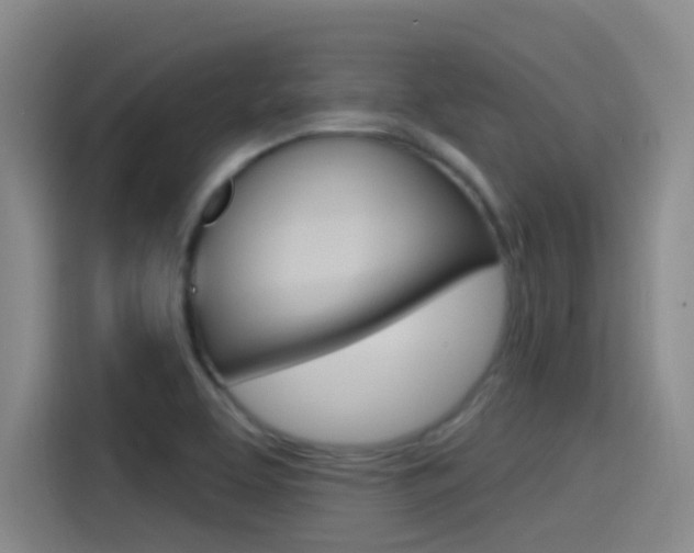 X0000115521463200911061013