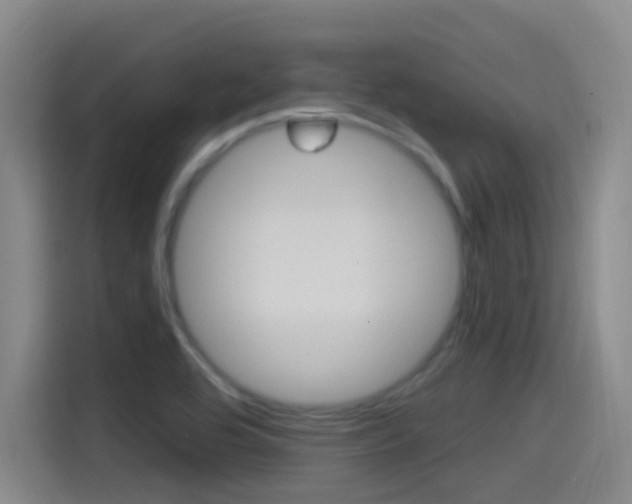 X0000115521464200911061013