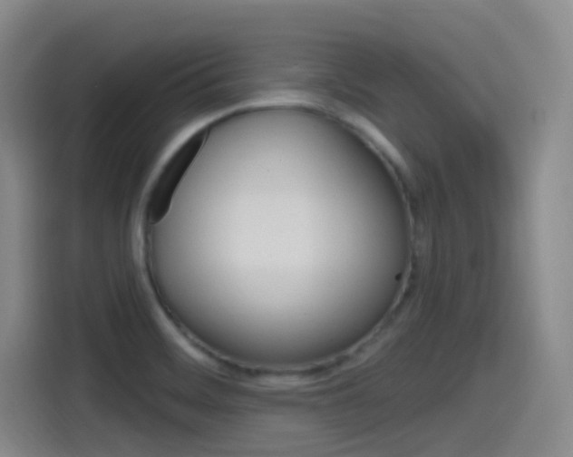 X0000115521468200911061013