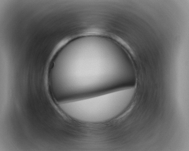 X0000115521469200911061013