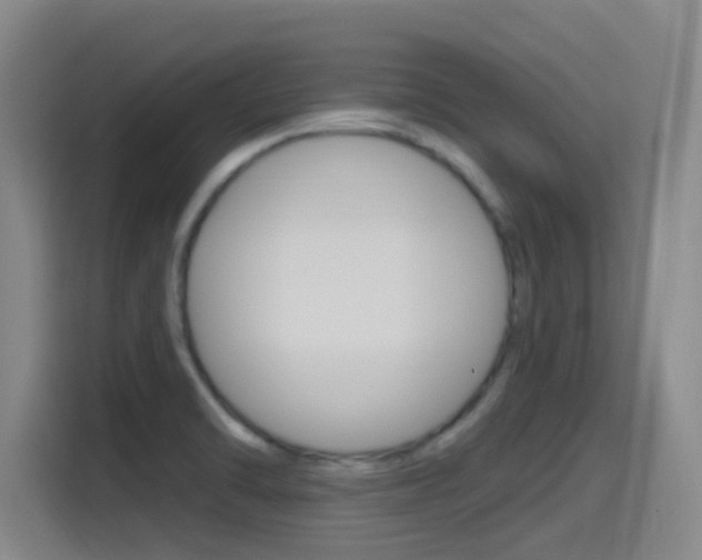 X0000115521470200911061013