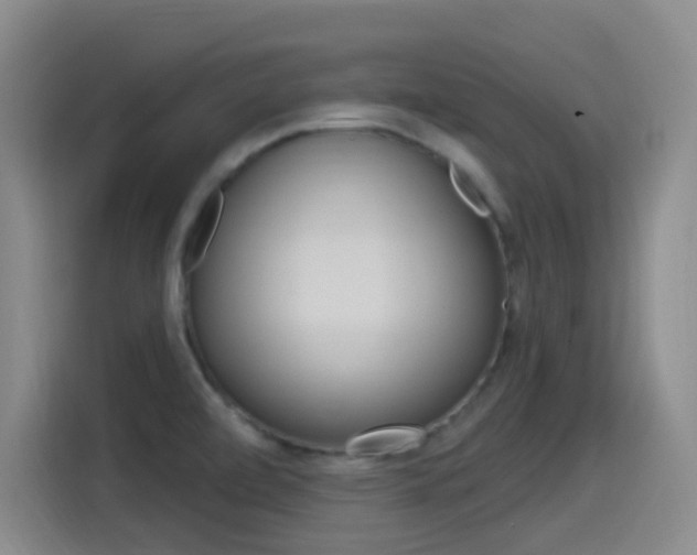 X0000115521472200911061013