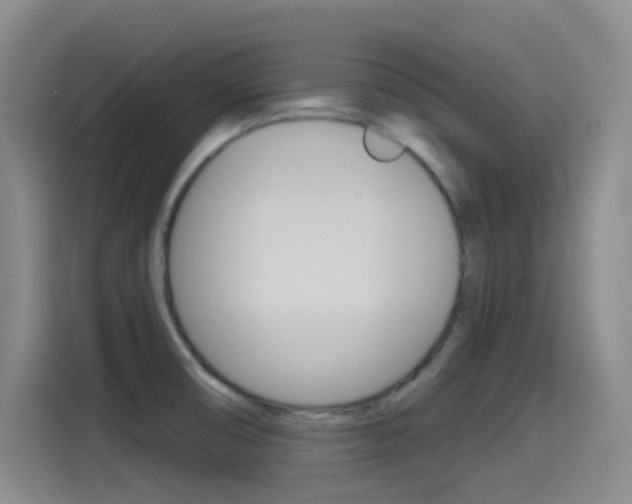 X0000115521474200911061013