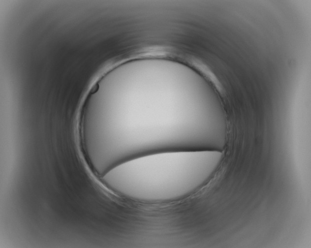 X0000115521475200911061013