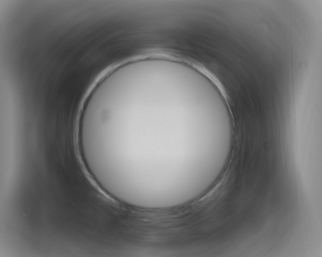 X0000115521477200911061013