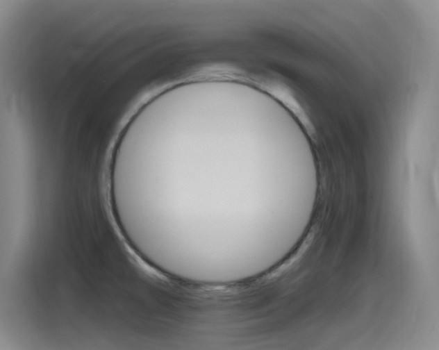 X0000115521478200911061013
