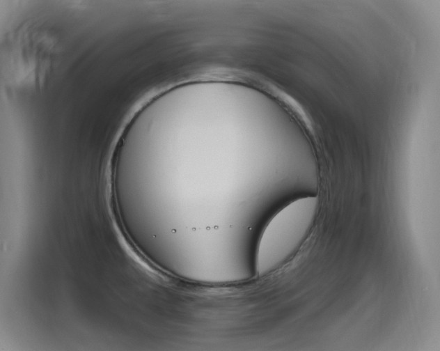 X0000115521479200911061013