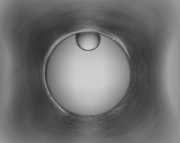 X0000115521480200911061013