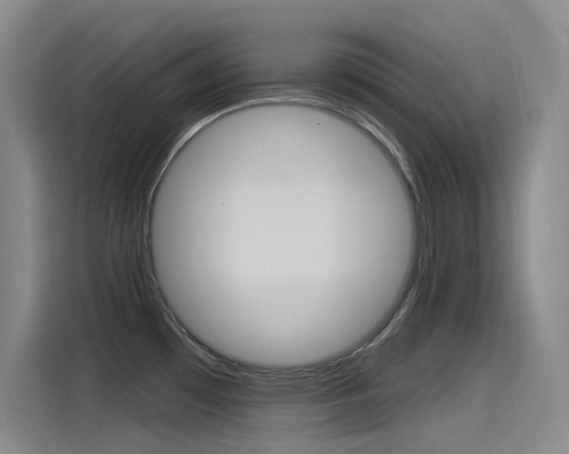 X0000115521481200911061013
