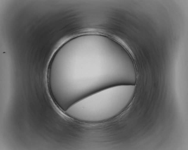 X0000115521482200911061013