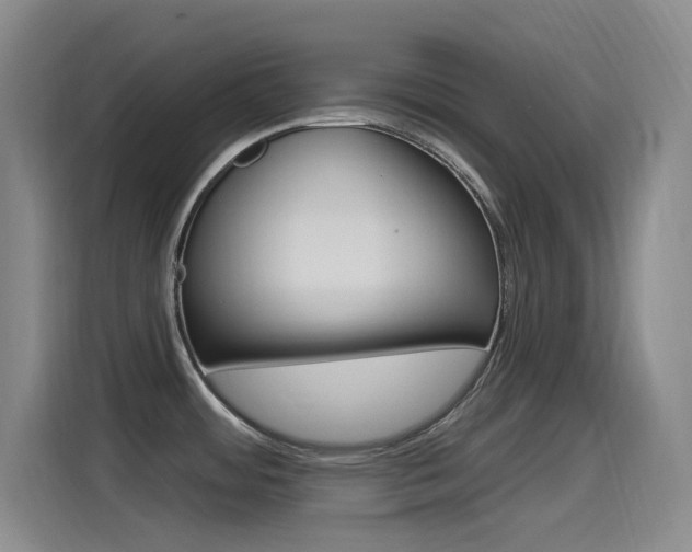 X0000115521484200911061013