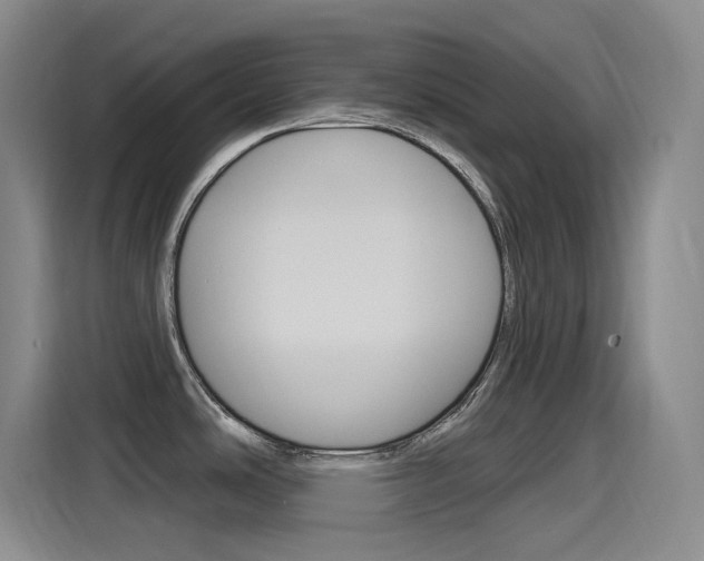 X0000115521486200911061013