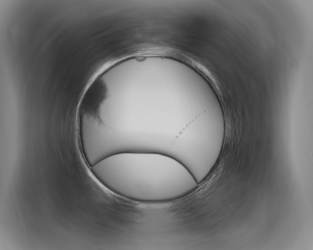 X0000115521487200911061013