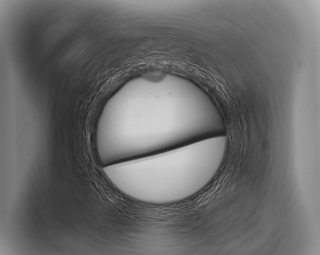 X0000115521489200911061012