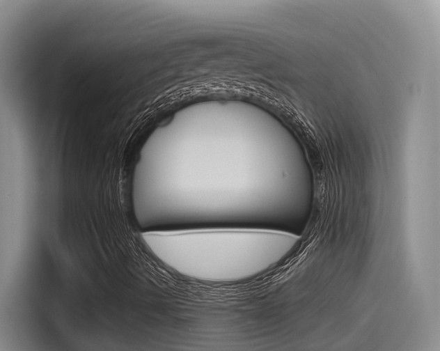 X0000115521490200911061012