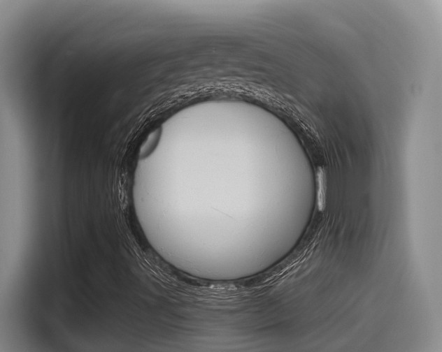 X0000115521491200911061012