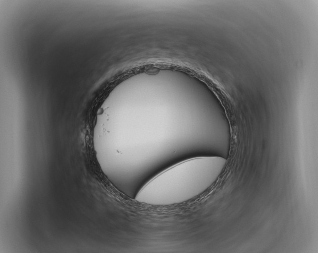 X0000115521495200911061012