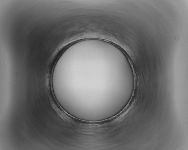 X0000115521499200911061012