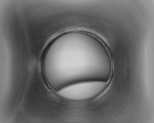 X0000115521501200911061012