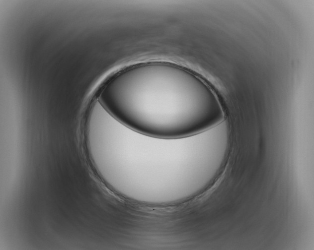 X0000115521502200911061012