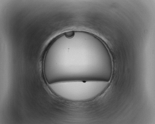 X0000115521503200911061012