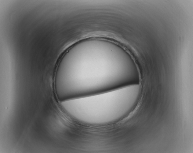 X0000115521505200911061012