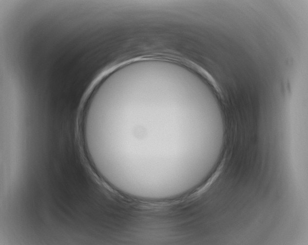 X0000115521506200911061012