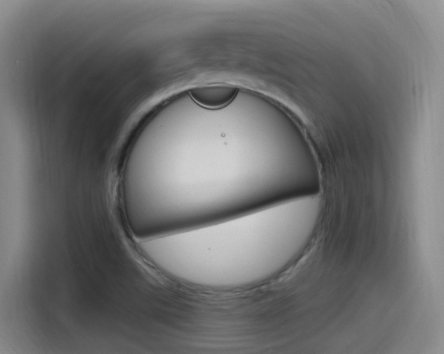 X0000115521507200911061013