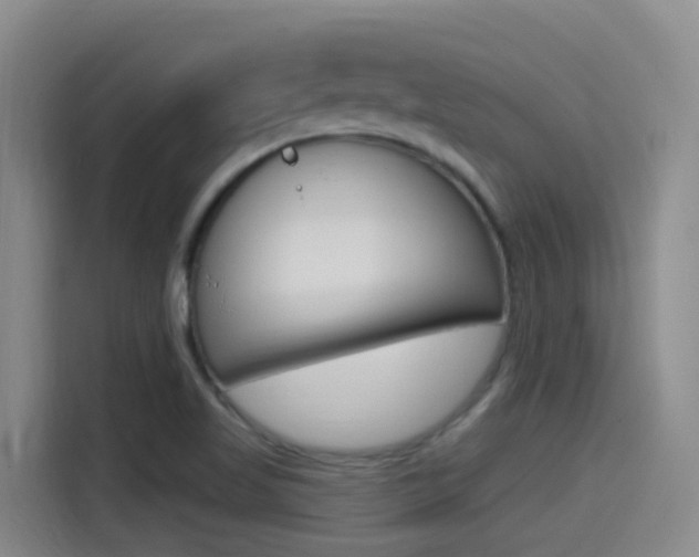 X0000115521509200911061013