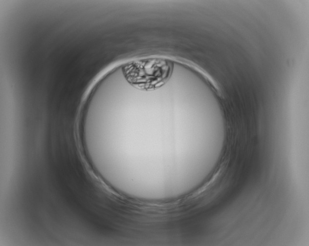 X0000115521510200911061013