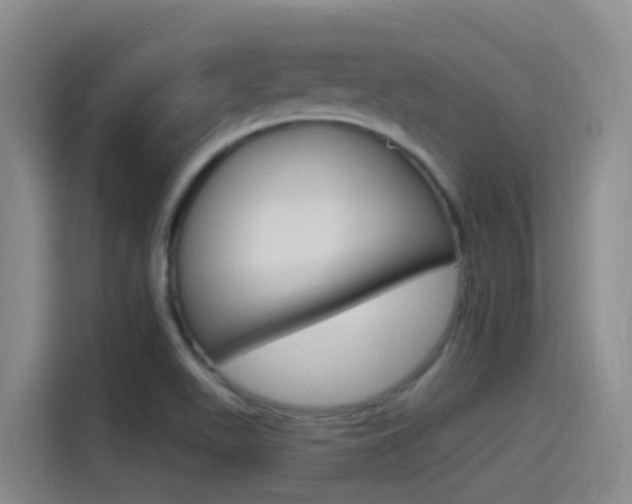 X0000115521511200911061013