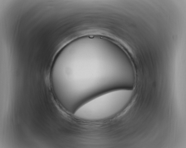 X0000115521513200911061013